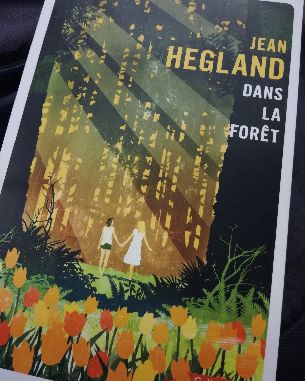 Dans la forêt / Jean Hegland