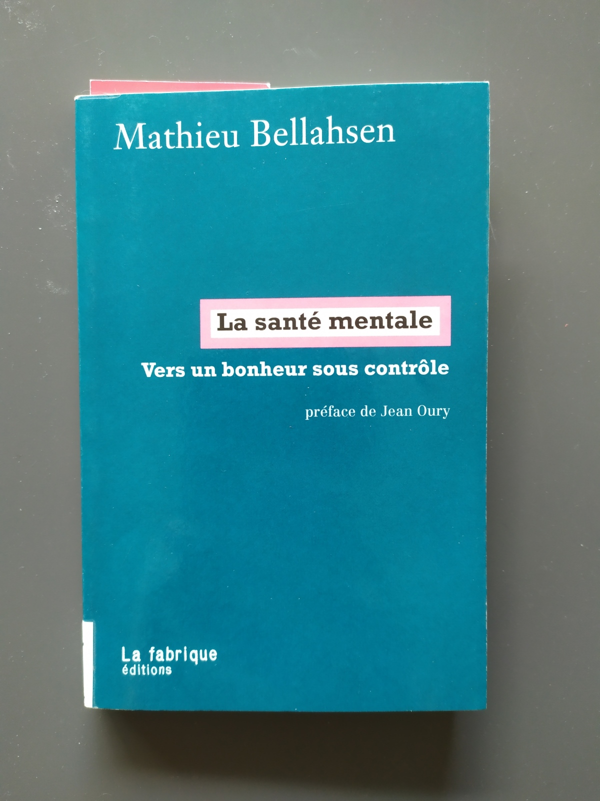 La santé mentale / Mathieu Bellahsen