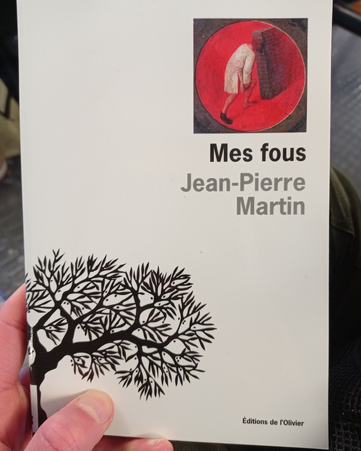 Mes fous / Jean-Pierre Martin