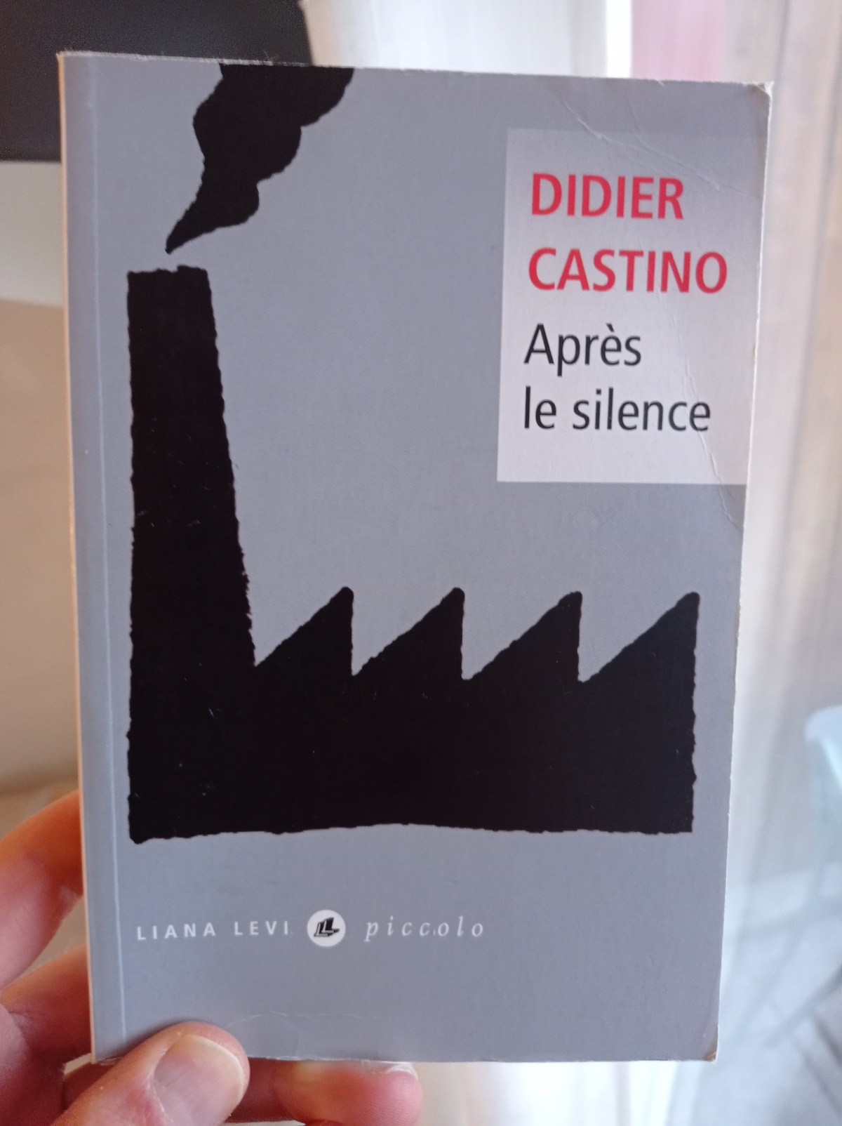 Après le Silence / Didier Castino