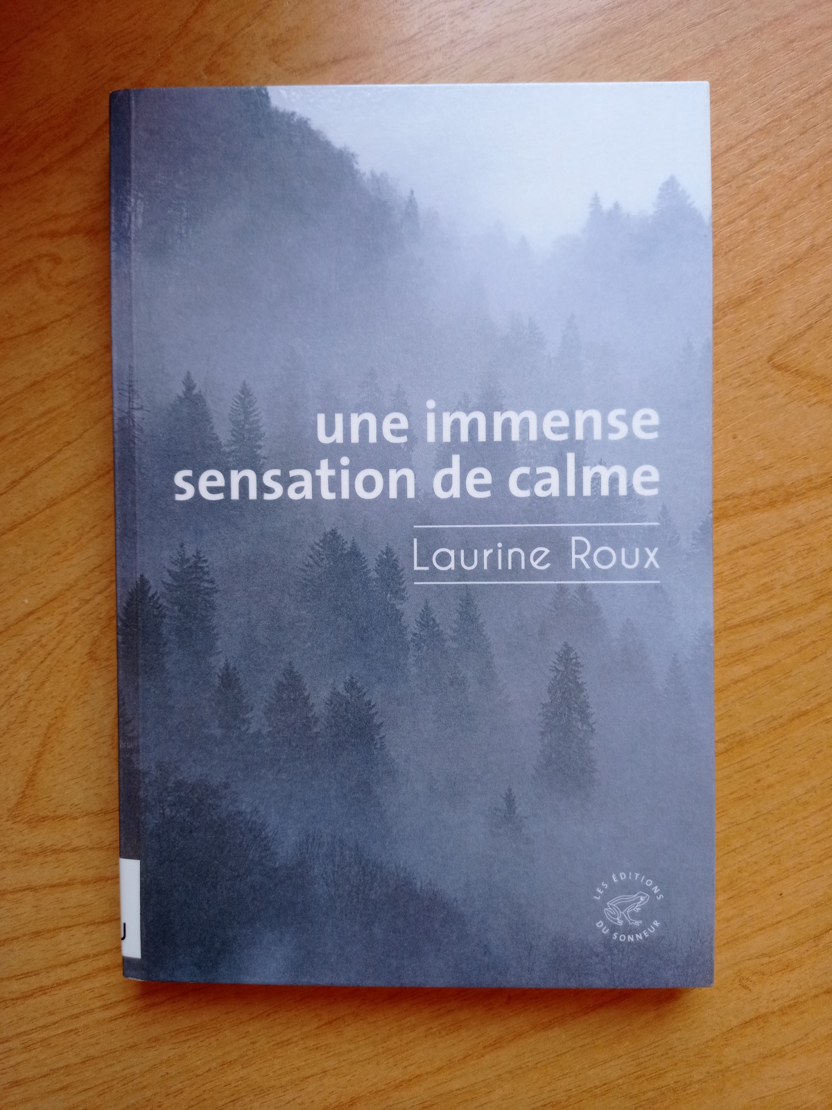 Une immense sensation de calme / Laurine Roux