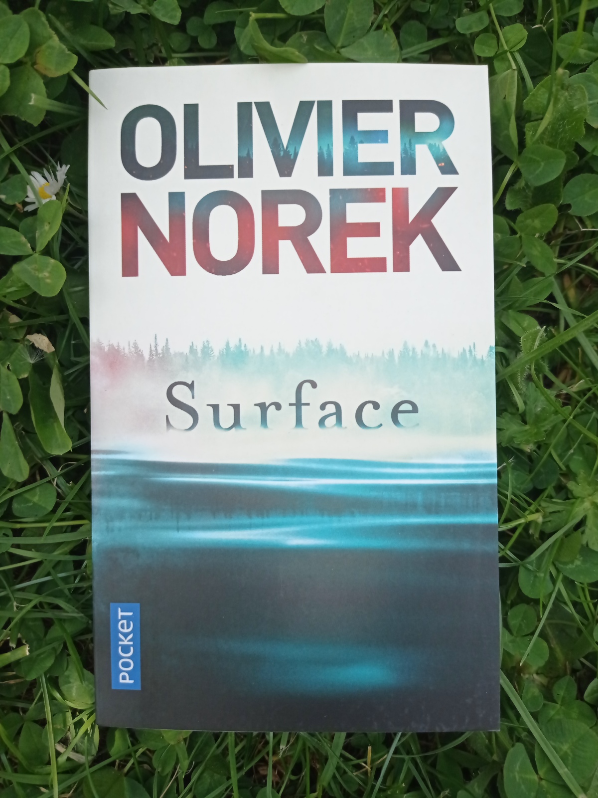 Surface / Olivier Norek