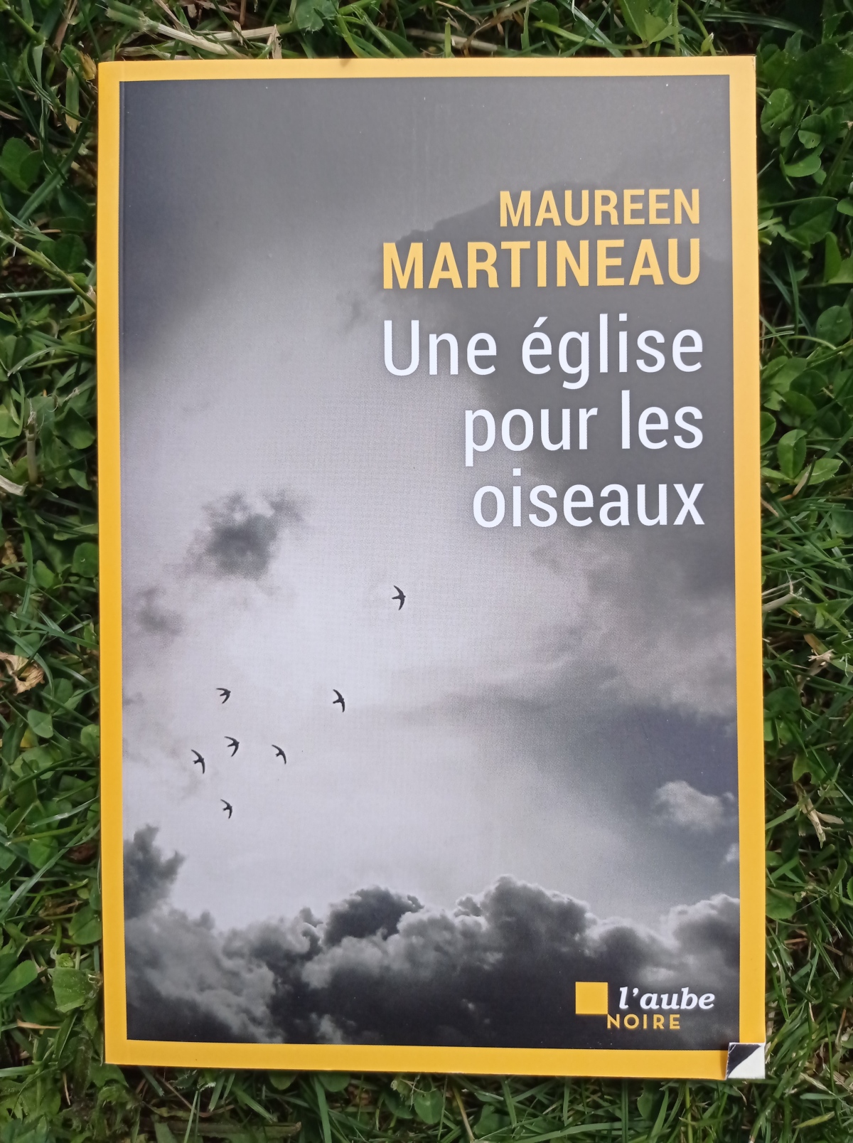 Une église pour les oiseaux / Maureen Martineau