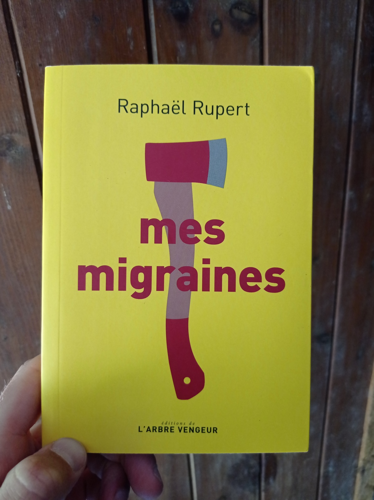 Mes migraines/ Raphaël Rupert