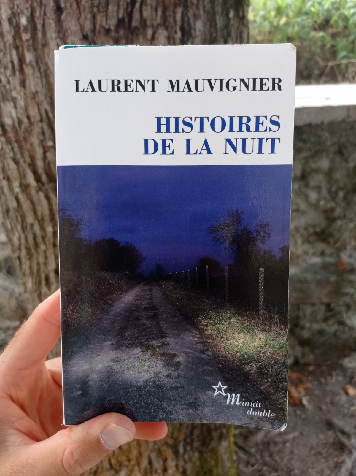 Histoires de la nuit / Laurent Mauvignier