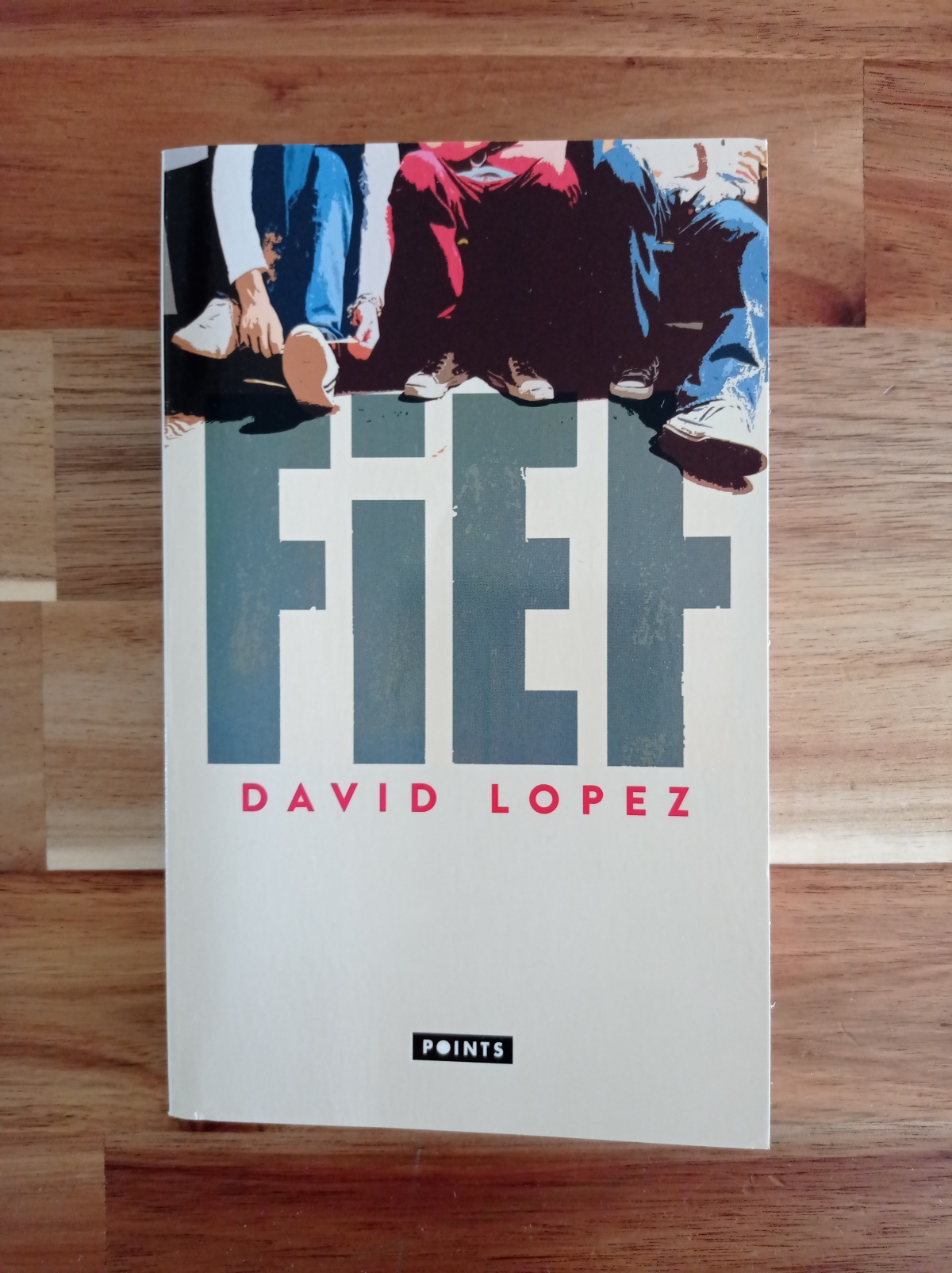Fief / David Lopez