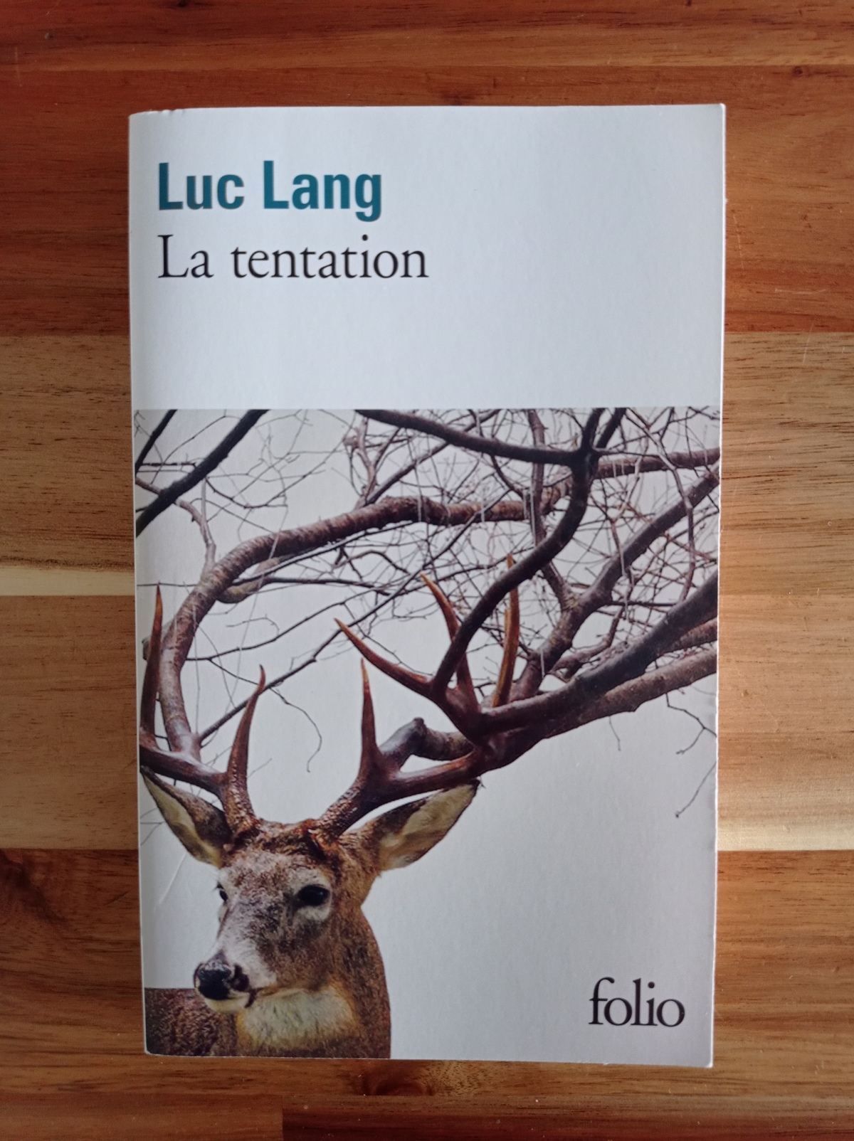 La tentation / Luc Lang