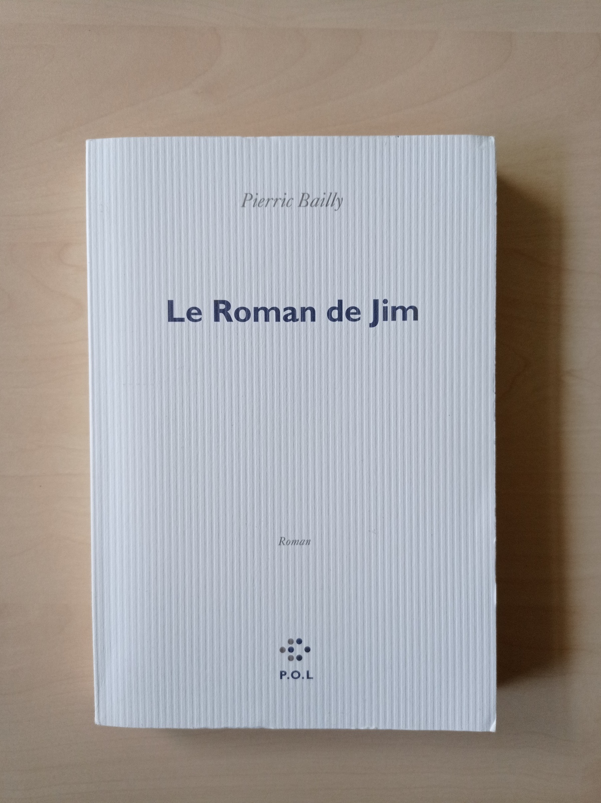 Le Roman de Jim / Pierric Bailly
