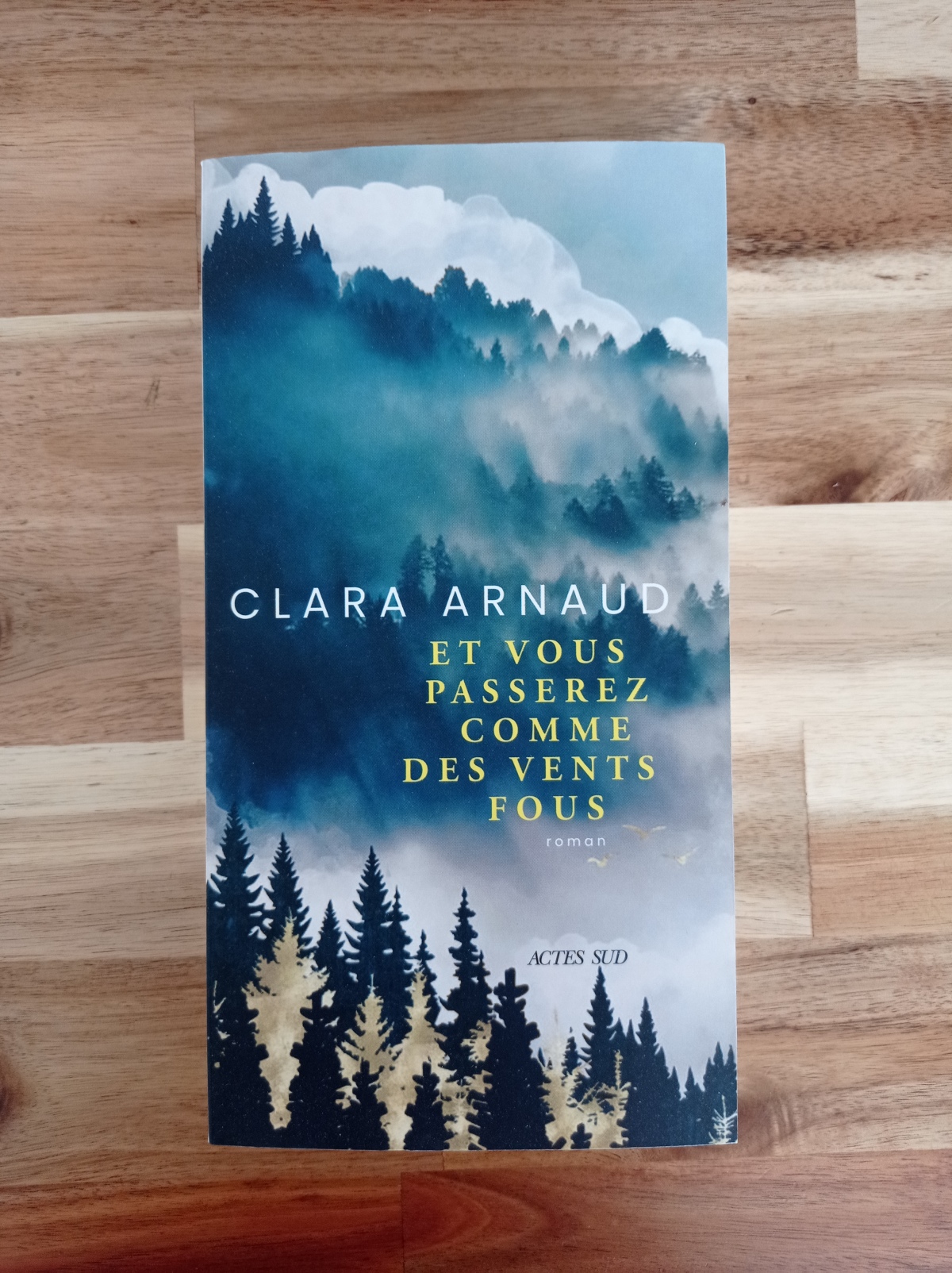 Et vous passerez comme des vents fous / Clara Arnaud