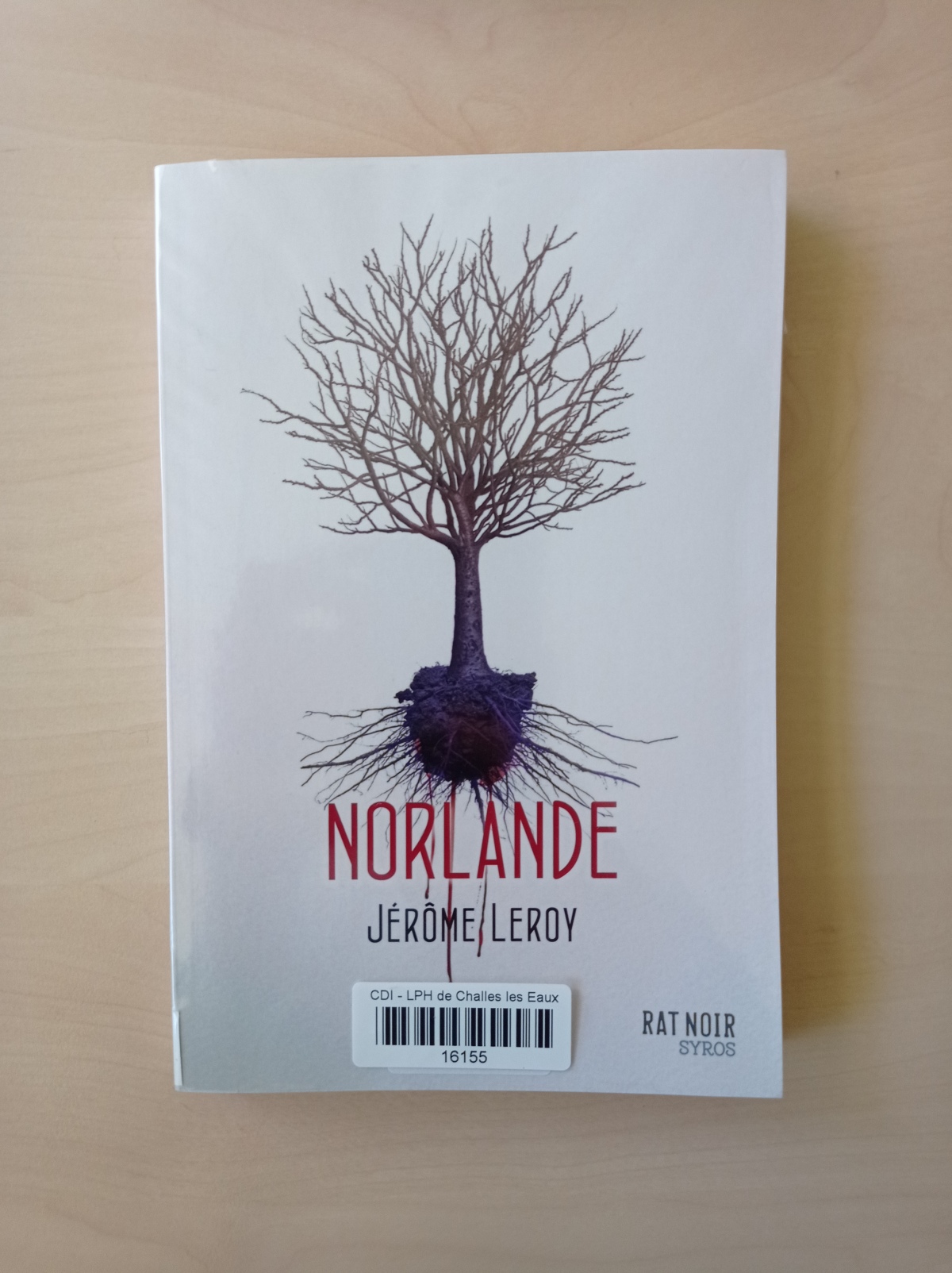 Norlande / Jérôme Leroy