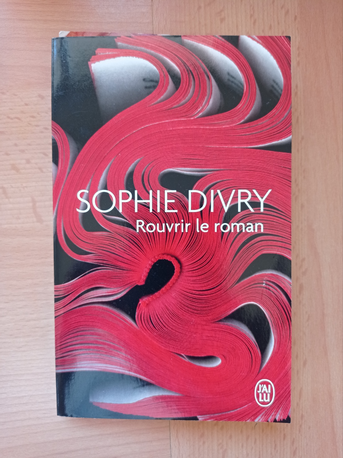 Rouvrir le roman / Sophie Divry